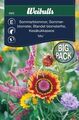 Sommerblomster mix big pack
